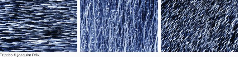 2025-12-10 Press FT In Memoriam Ana Maria Jorge tríptico