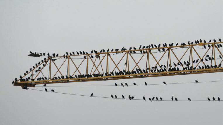 2025-12-17 Religare Talks teaser